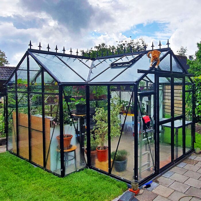 Gardenmeister Orangerie 200 chambre de jardin verre de sécurité 4mm noir GM904200